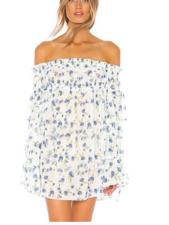 Tularosa Dresses & Skirts - Tularosa Brogan White Mini Dress with Blue Floral Print S